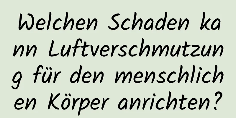 Welchen Schaden kann Luftverschmutzung für den menschlichen Körper anrichten?
