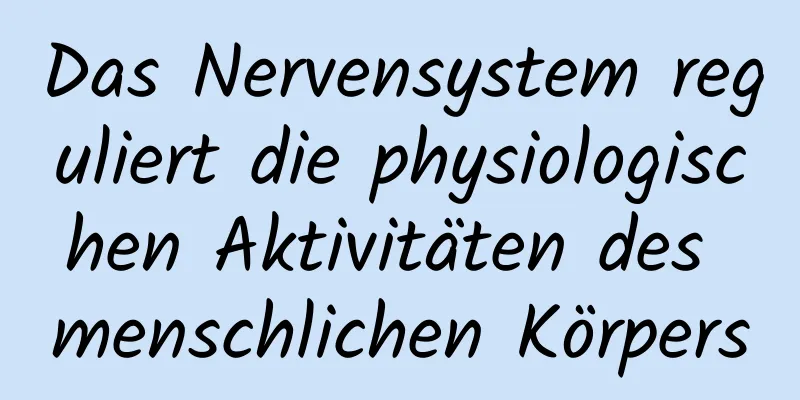 Das Nervensystem reguliert die physiologischen Aktivitäten des menschlichen Körpers