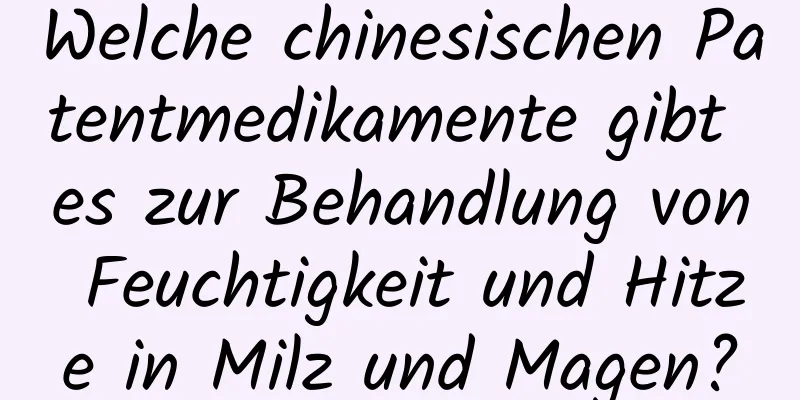 Welche chinesischen Patentmedikamente gibt es zur Behandlung von Feuchtigkeit und Hitze in Milz und Magen?