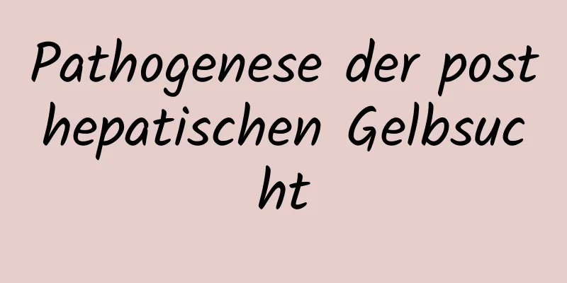 Pathogenese der posthepatischen Gelbsucht