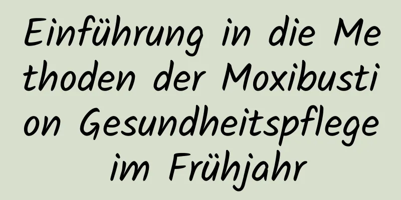 Einführung in die Methoden der Moxibustion Gesundheitspflege im Frühjahr