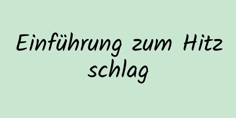 Einführung zum Hitzschlag