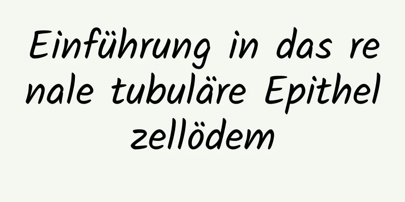 Einführung in das renale tubuläre Epithelzellödem