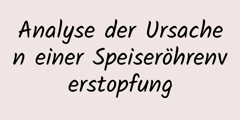 Analyse der Ursachen einer Speiseröhrenverstopfung