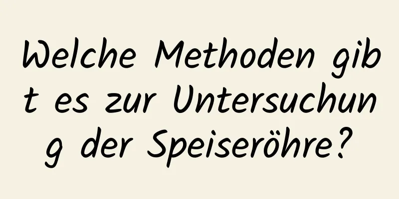 Welche Methoden gibt es zur Untersuchung der Speiseröhre?