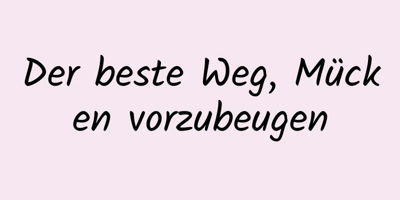 Der beste Weg, Mücken vorzubeugen
