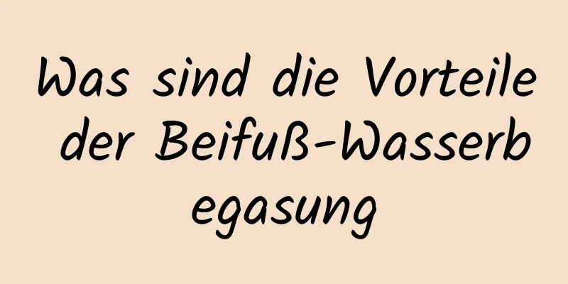 Was sind die Vorteile der Beifuß-Wasserbegasung