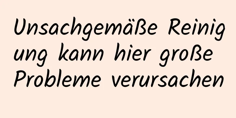Unsachgemäße Reinigung kann hier große Probleme verursachen