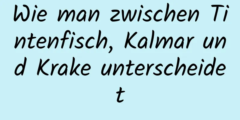 Wie man zwischen Tintenfisch, Kalmar und Krake unterscheidet