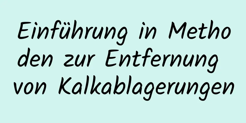 Einführung in Methoden zur Entfernung von Kalkablagerungen