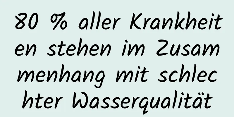 80 % aller Krankheiten stehen im Zusammenhang mit schlechter Wasserqualität