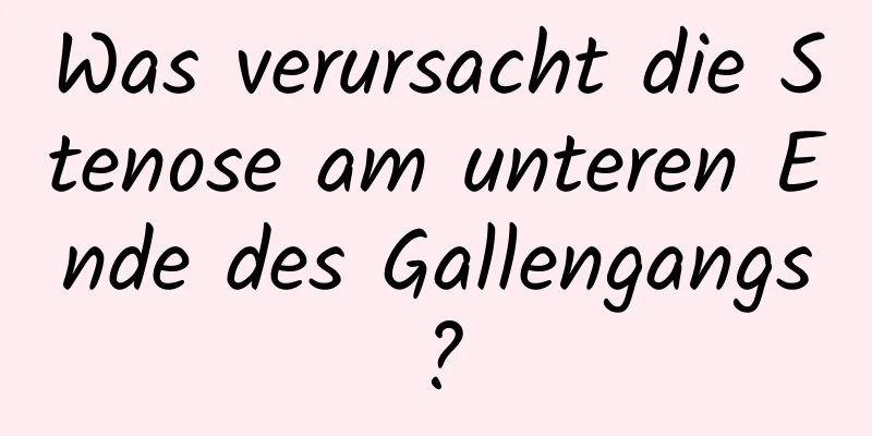 Was verursacht die Stenose am unteren Ende des Gallengangs?