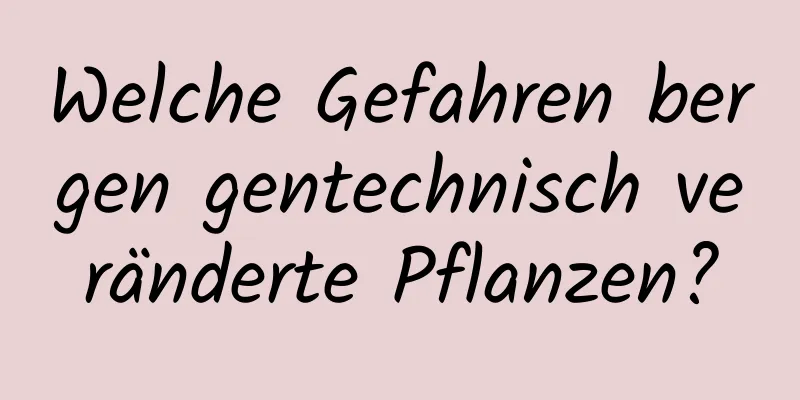 Welche Gefahren bergen gentechnisch veränderte Pflanzen?