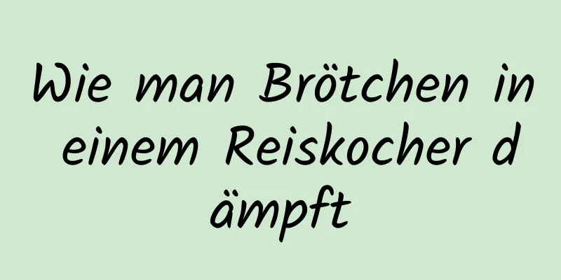 Wie man Brötchen in einem Reiskocher dämpft