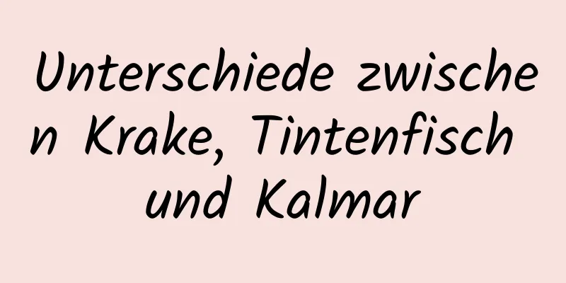 Unterschiede zwischen Krake, Tintenfisch und Kalmar