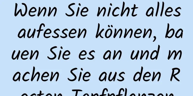 Wenn Sie nicht alles aufessen können, bauen Sie es an und machen Sie aus den Resten Topfpflanzen