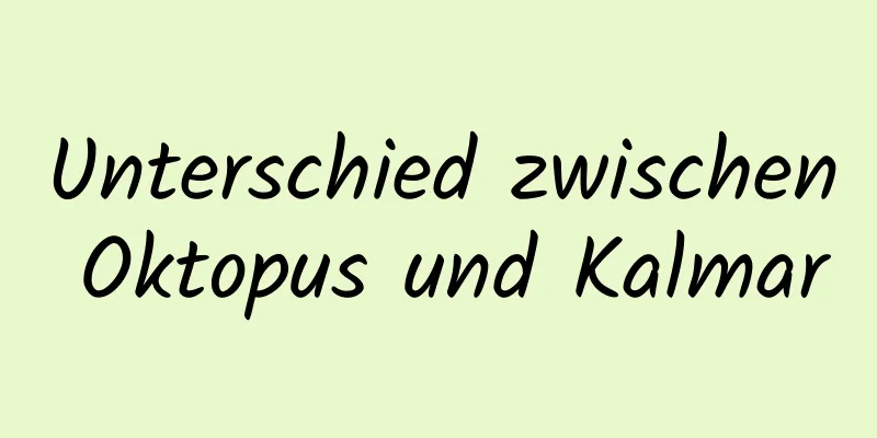 Unterschied zwischen Oktopus und Kalmar
