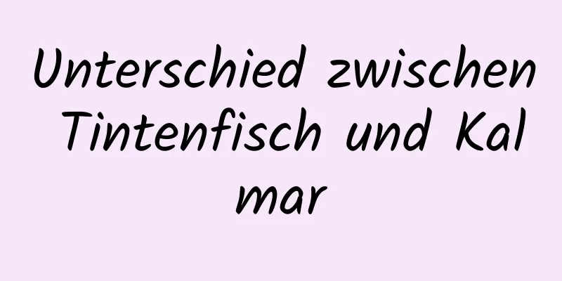 Unterschied zwischen Tintenfisch und Kalmar