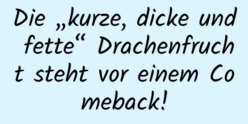 Die „kurze, dicke und fette“ Drachenfrucht steht vor einem Comeback!