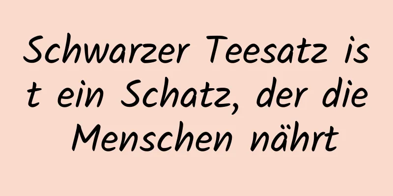 Schwarzer Teesatz ist ein Schatz, der die Menschen nährt