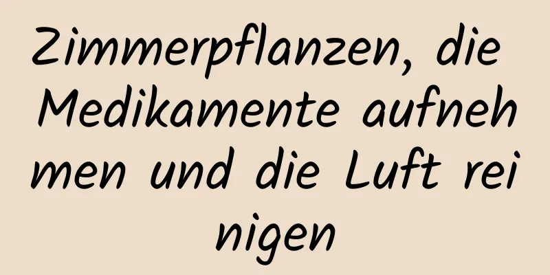 Zimmerpflanzen, die Medikamente aufnehmen und die Luft reinigen