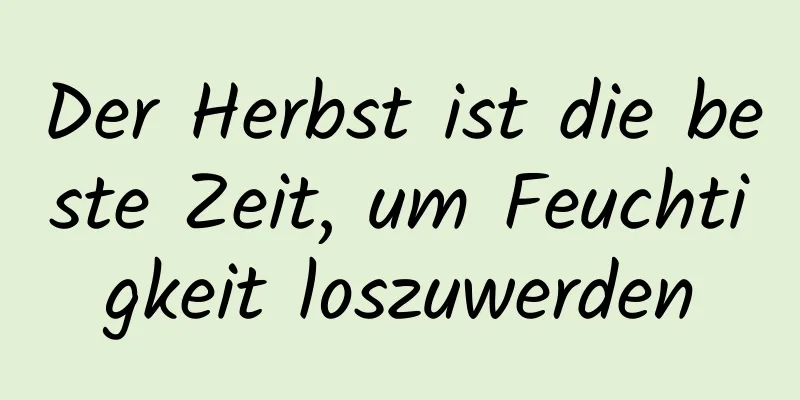 Der Herbst ist die beste Zeit, um Feuchtigkeit loszuwerden