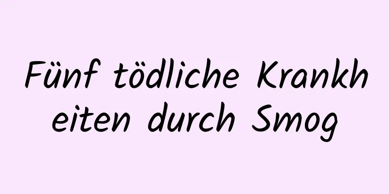 Fünf tödliche Krankheiten durch Smog