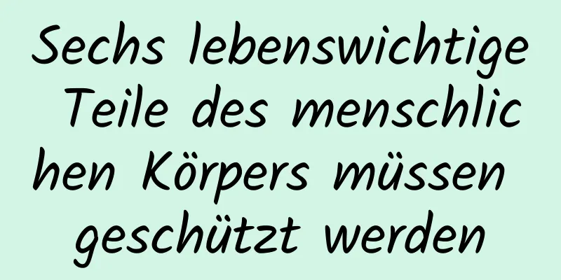 Sechs lebenswichtige Teile des menschlichen Körpers müssen geschützt werden