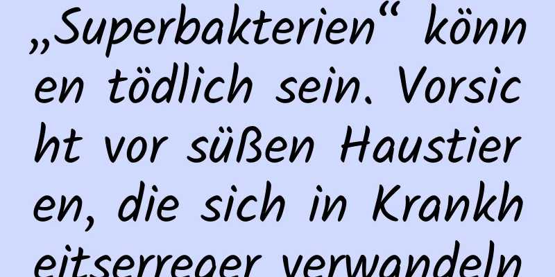 „Superbakterien“ können tödlich sein. Vorsicht vor süßen Haustieren, die sich in Krankheitserreger verwandeln
