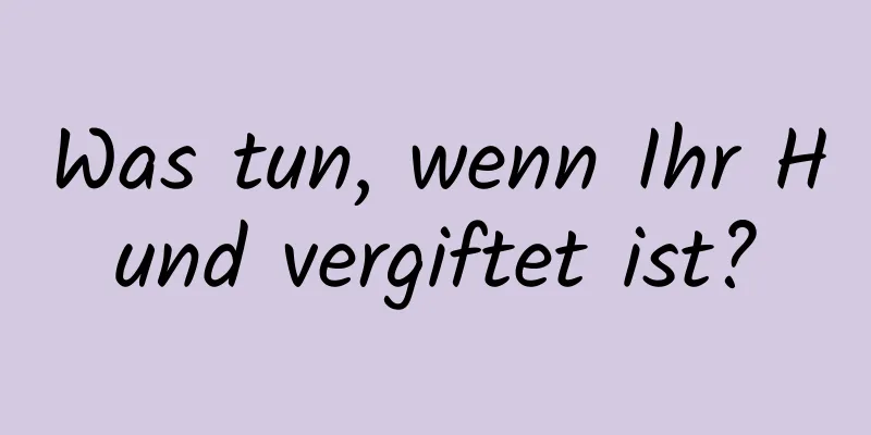 Was tun, wenn Ihr Hund vergiftet ist?