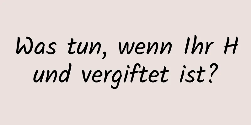 Was tun, wenn Ihr Hund vergiftet ist?