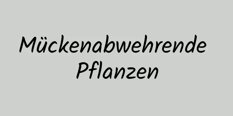 Mückenabwehrende Pflanzen