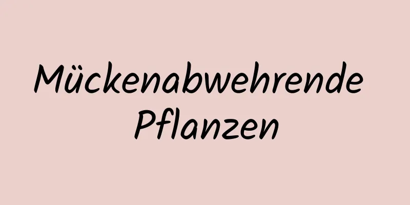 Mückenabwehrende Pflanzen