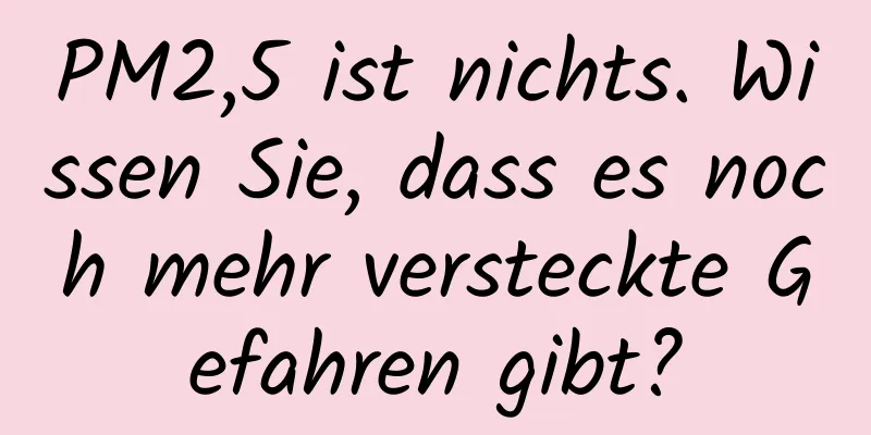 PM2,5 ist nichts. Wissen Sie, dass es noch mehr versteckte Gefahren gibt?