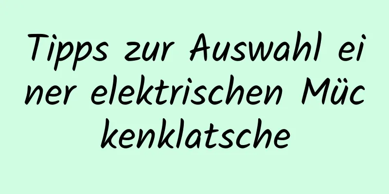 Tipps zur Auswahl einer elektrischen Mückenklatsche