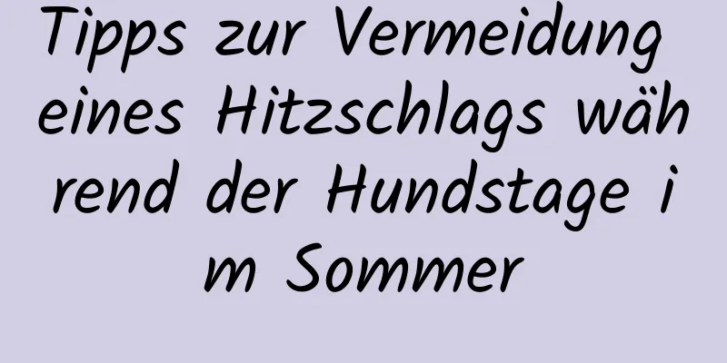 Tipps zur Vermeidung eines Hitzschlags während der Hundstage im Sommer