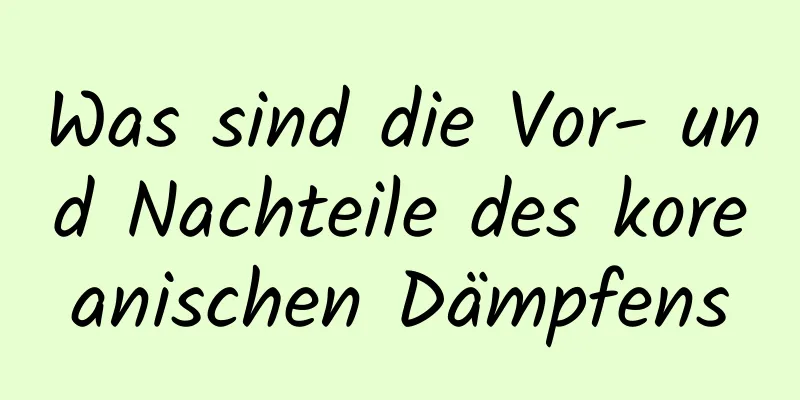 Was sind die Vor- und Nachteile des koreanischen Dämpfens