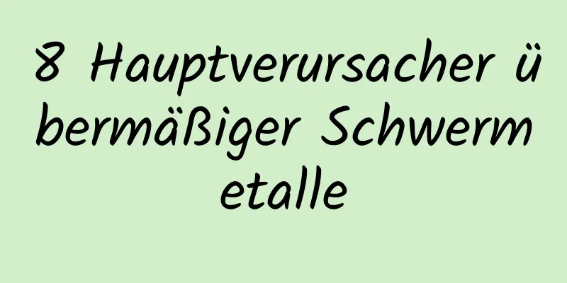 8 Hauptverursacher übermäßiger Schwermetalle