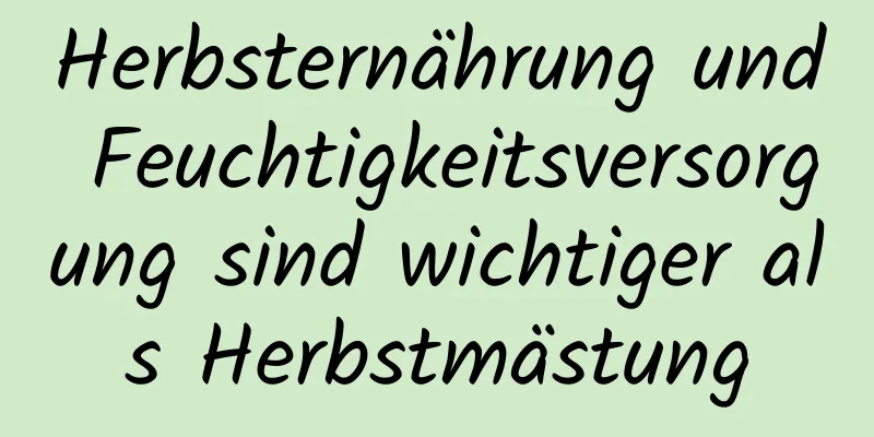 Herbsternährung und Feuchtigkeitsversorgung sind wichtiger als Herbstmästung