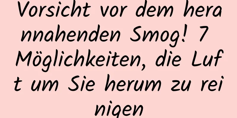 Vorsicht vor dem herannahenden Smog! 7 Möglichkeiten, die Luft um Sie herum zu reinigen