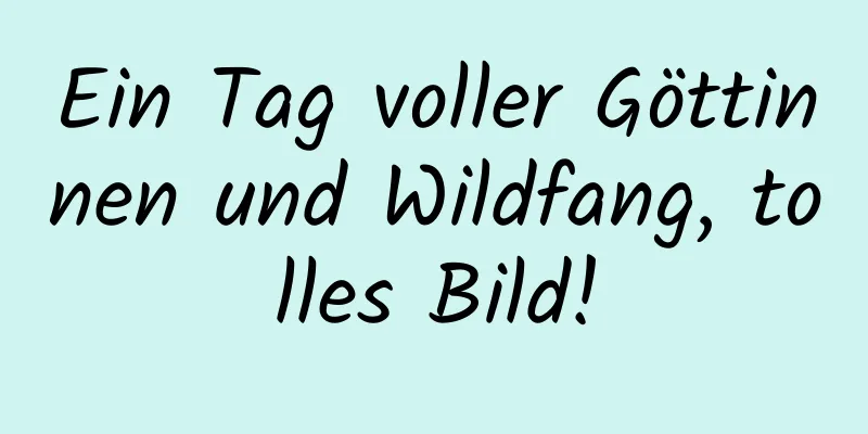 Ein Tag voller Göttinnen und Wildfang, tolles Bild!