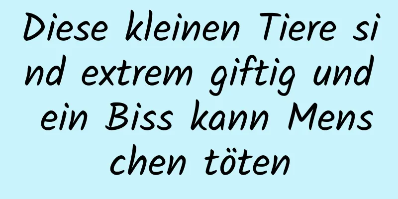 Diese kleinen Tiere sind extrem giftig und ein Biss kann Menschen töten
