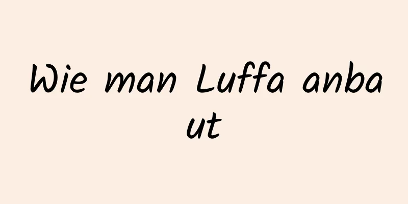 Wie man Luffa anbaut