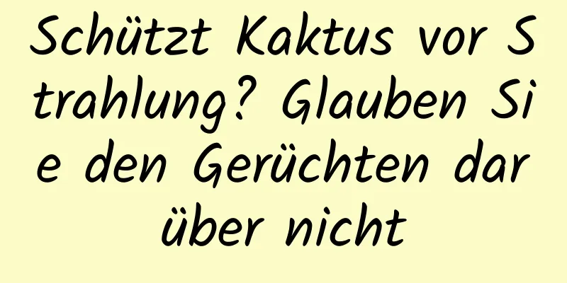 Schützt Kaktus vor Strahlung? Glauben Sie den Gerüchten darüber nicht