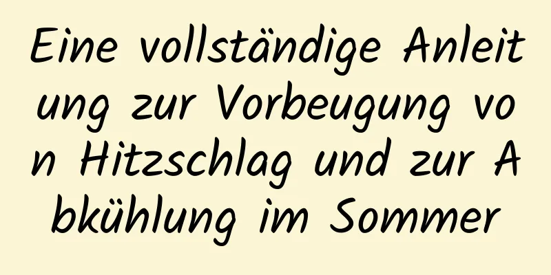 Eine vollständige Anleitung zur Vorbeugung von Hitzschlag und zur Abkühlung im Sommer