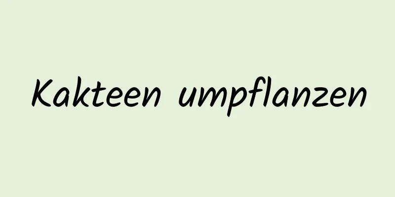 Kakteen umpflanzen