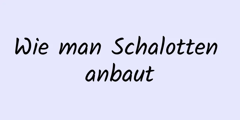 Wie man Schalotten anbaut