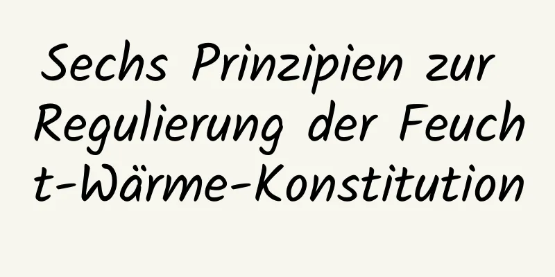 Sechs Prinzipien zur Regulierung der Feucht-Wärme-Konstitution