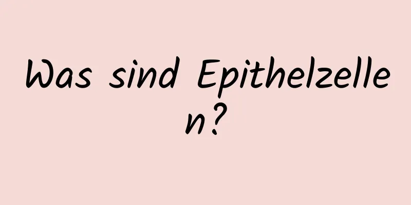 Was sind Epithelzellen?