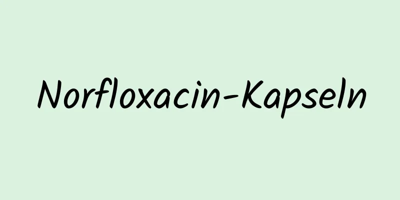 Norfloxacin-Kapseln